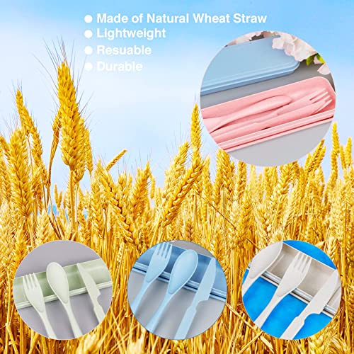 Reusable Travel Utensils Set with Case