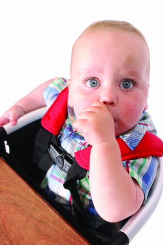 The "Lobster" Portable High Chair