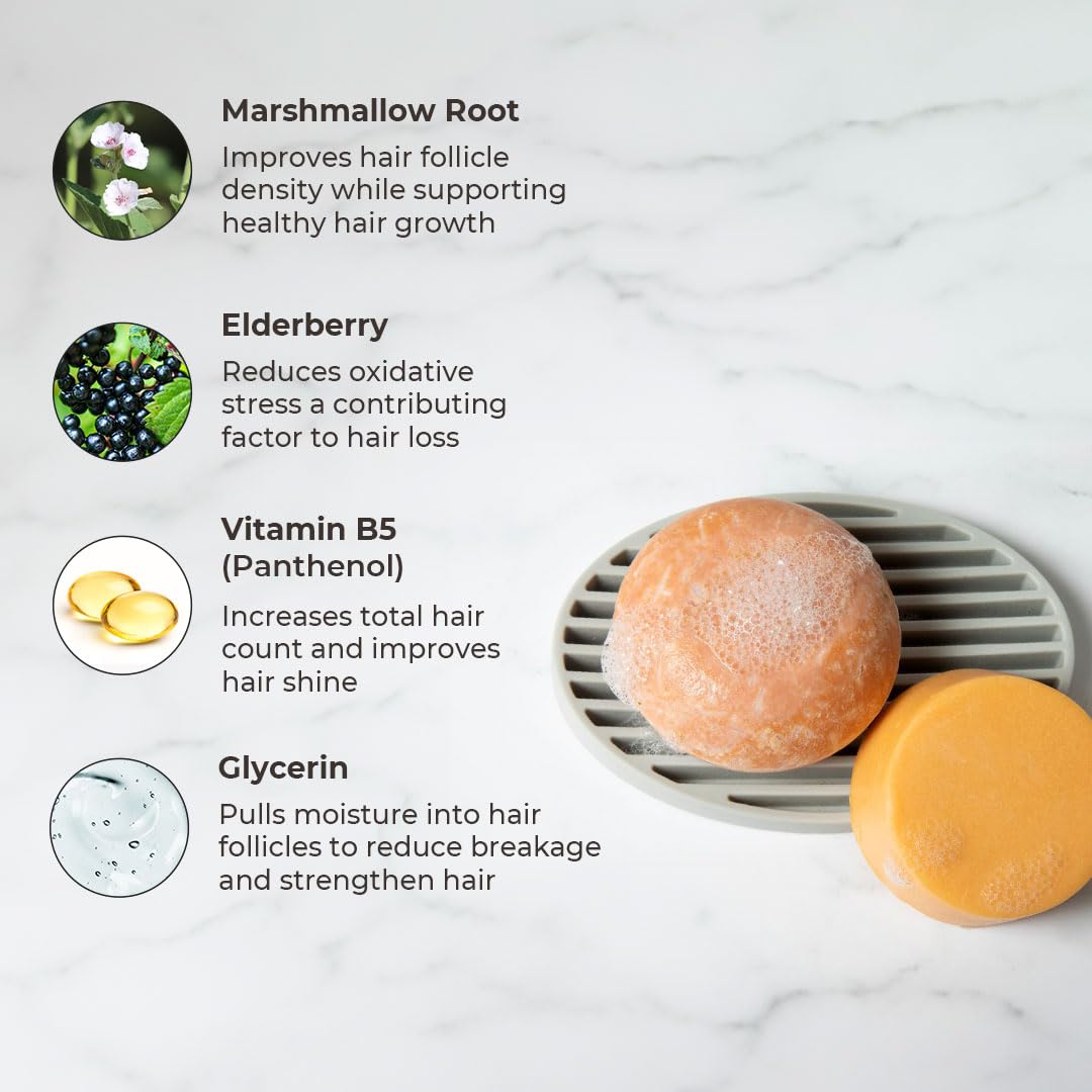The Earthling Co. Shampoo & Conditioner Bar Set - Citrus Sun